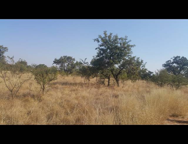 21.40HA FARM FOR SALE IN WAAGFONTEIN